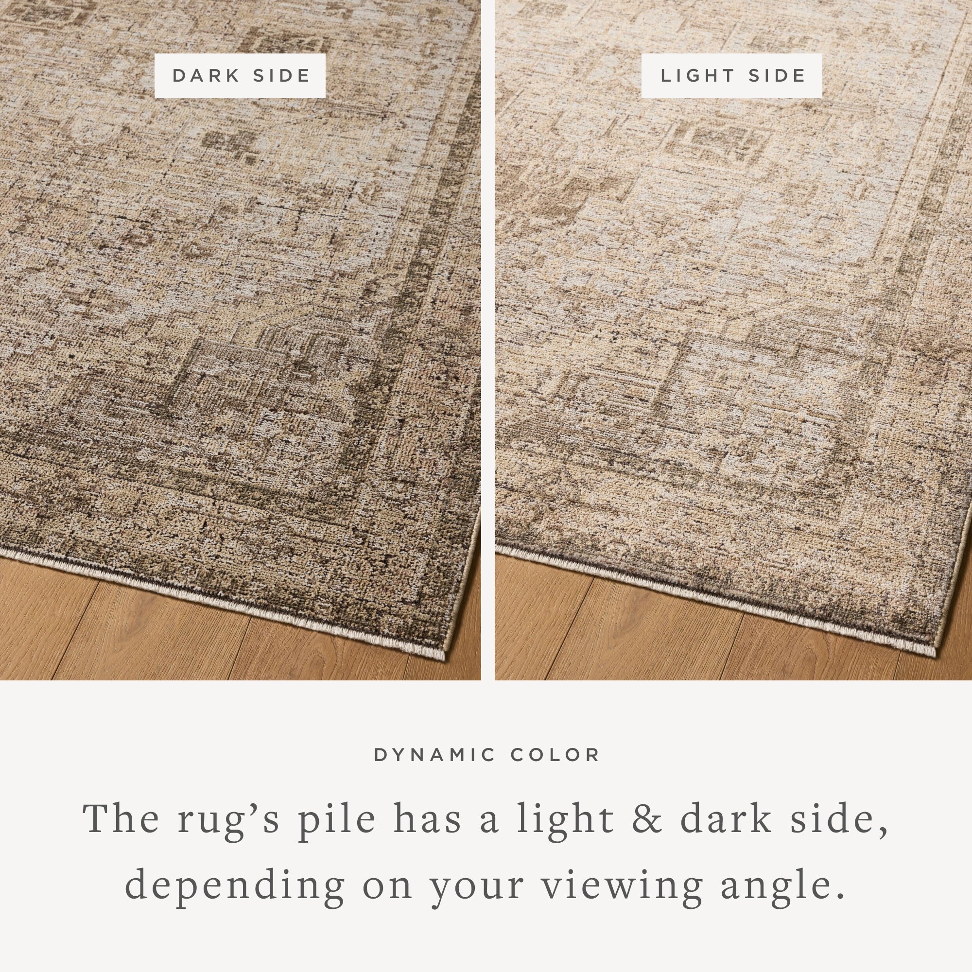 Loloi Priscilla Sample Rug