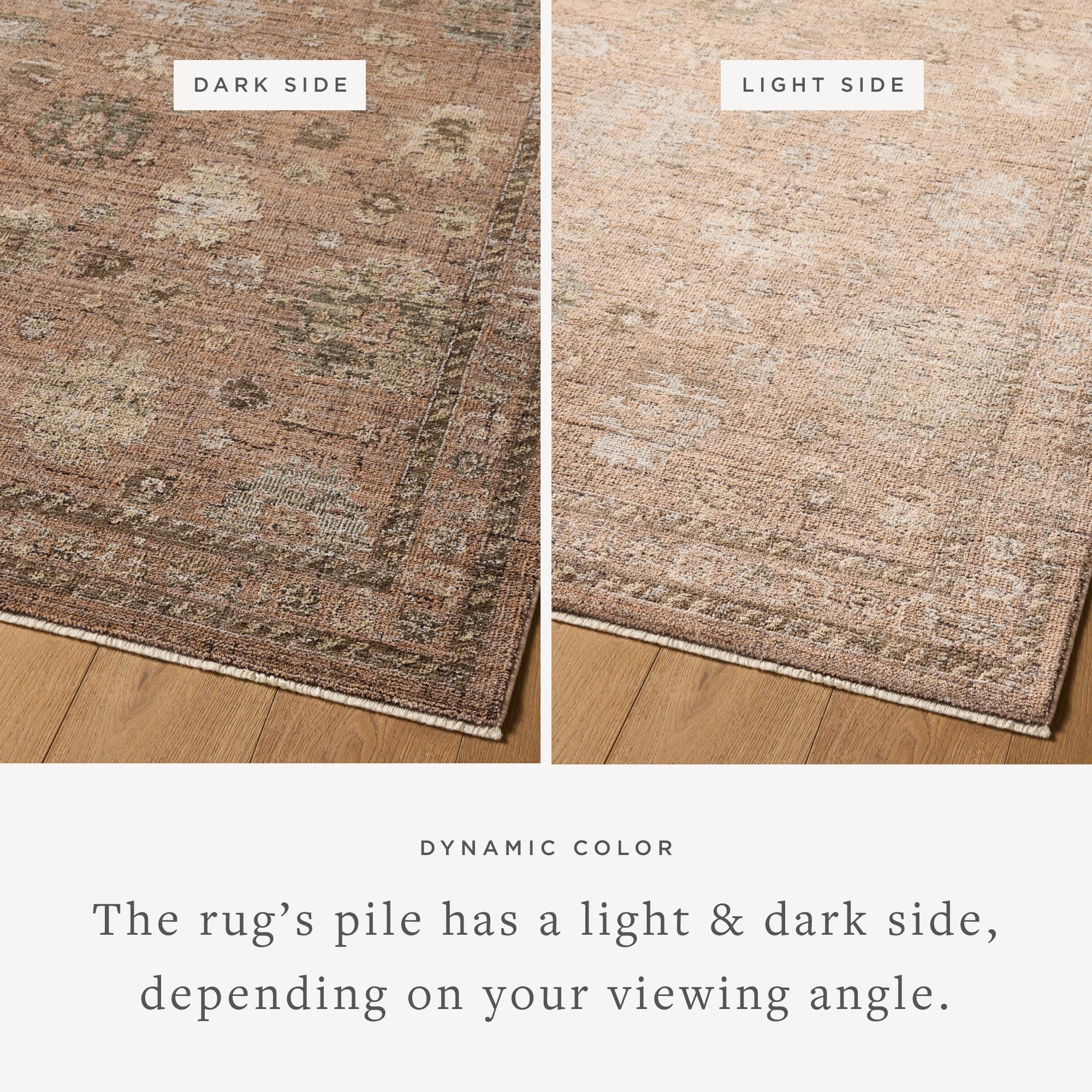 Loloi Priscilla Runner Rug