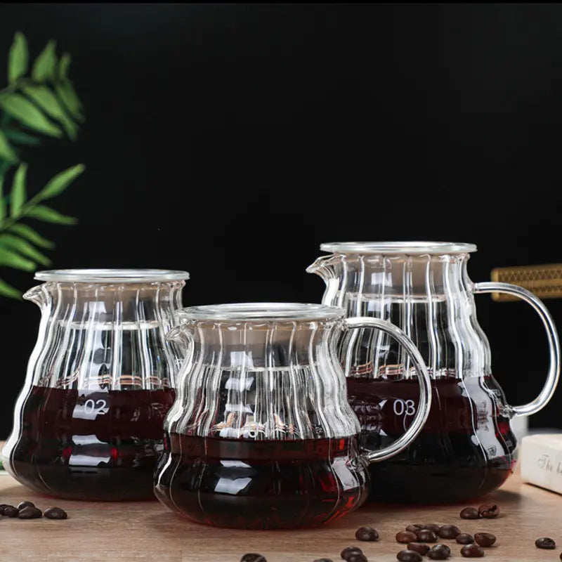 Glass Coffee Pour Over Pot with Filter