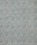 Loloi Raven Sample Rug
