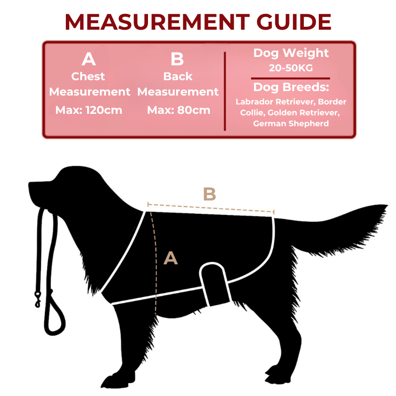 Large Red Light Therapy for Dogs Coat