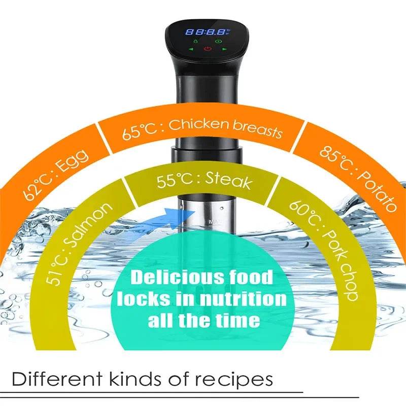 Sous Vide Immersion Circulator