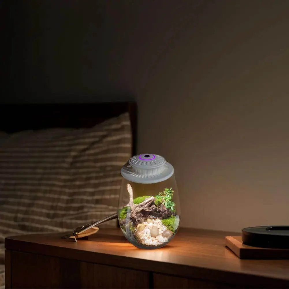 Glass Plant Terrarium with Grow Light