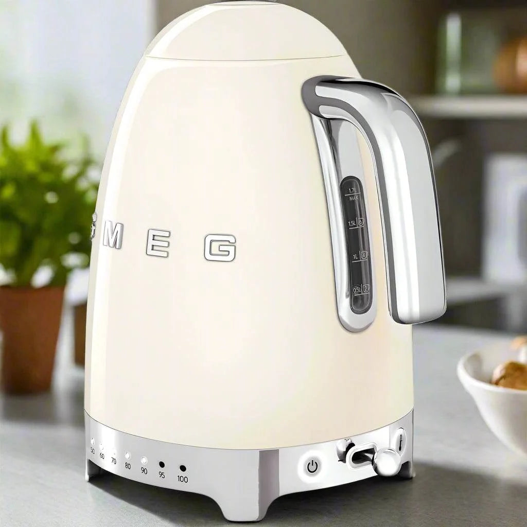 Variable Temperature Electric Kettle