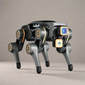 AI Programmable Robot Kit