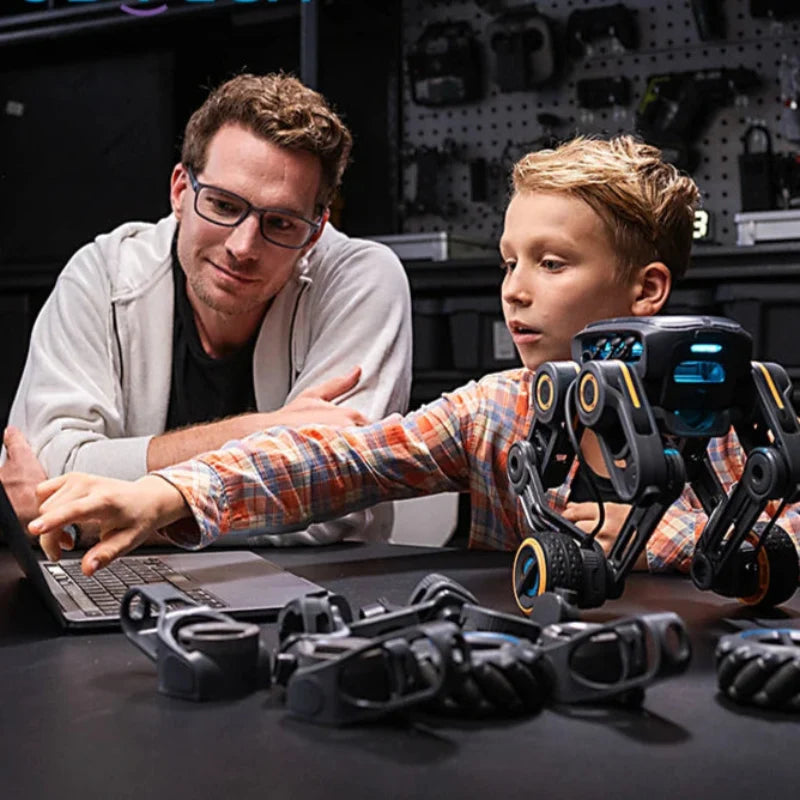 AI Programmable Robot Kit