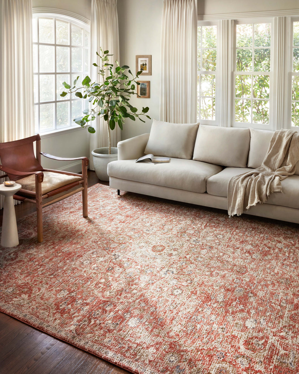 Loloi Saban Sample Rug