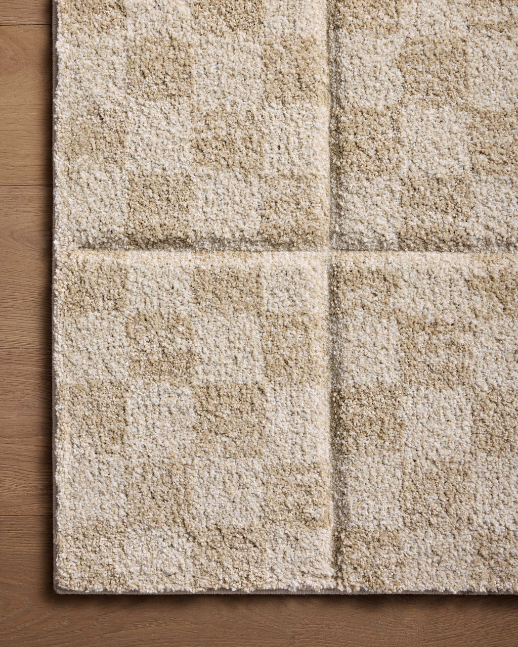 Loloi Silas Area Rug