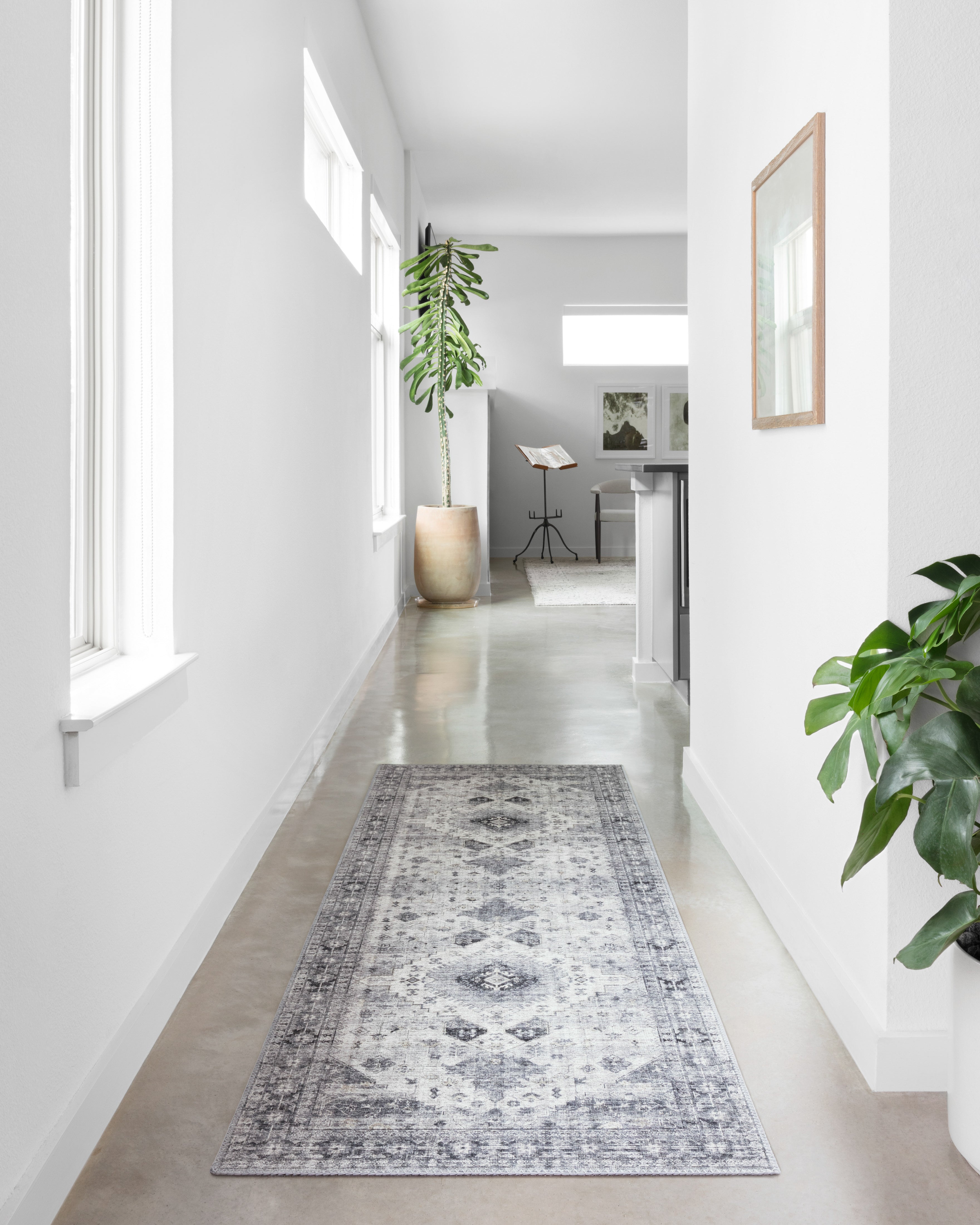 Loloi Skye Area Rug