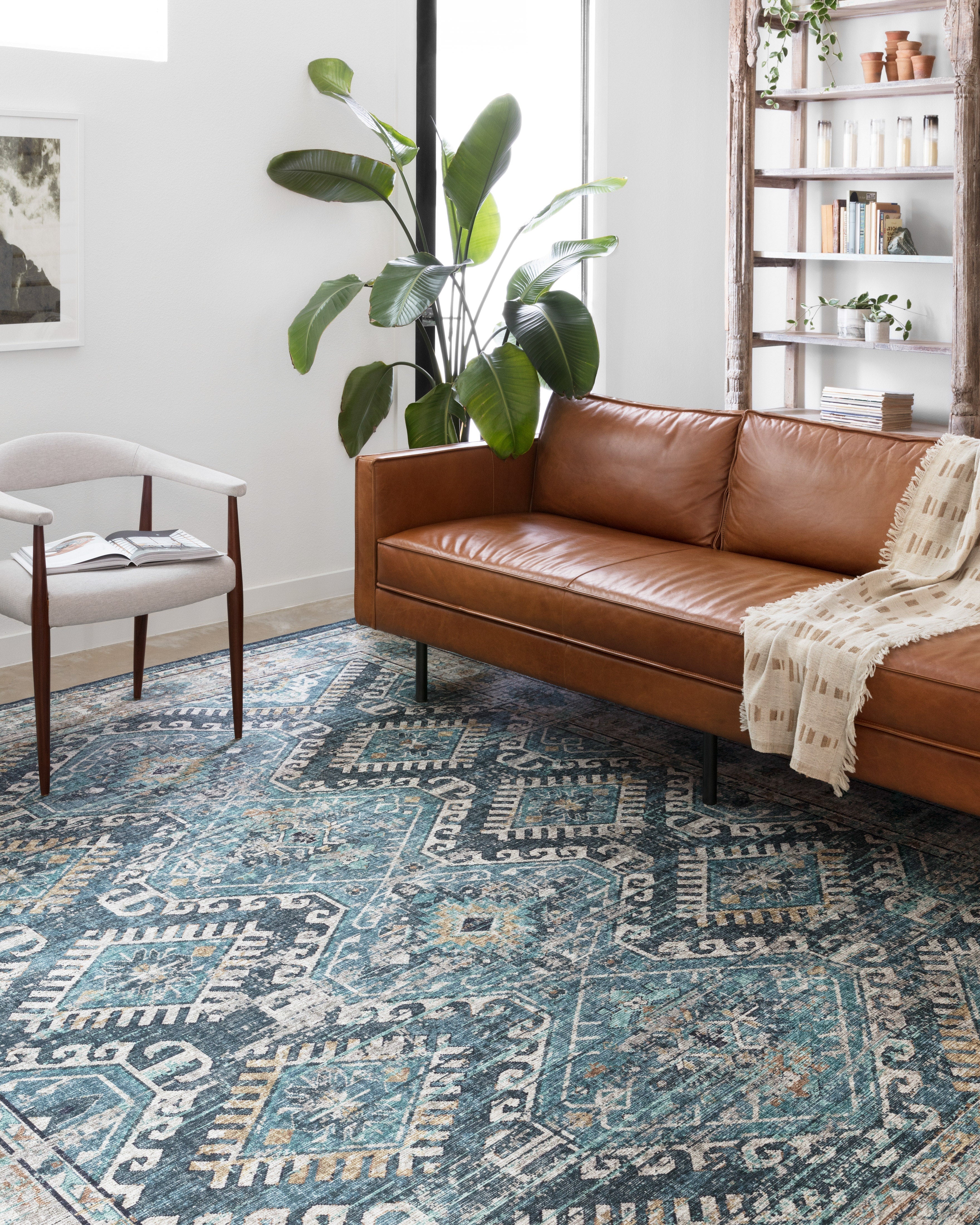 Loloi Skye Area Rug