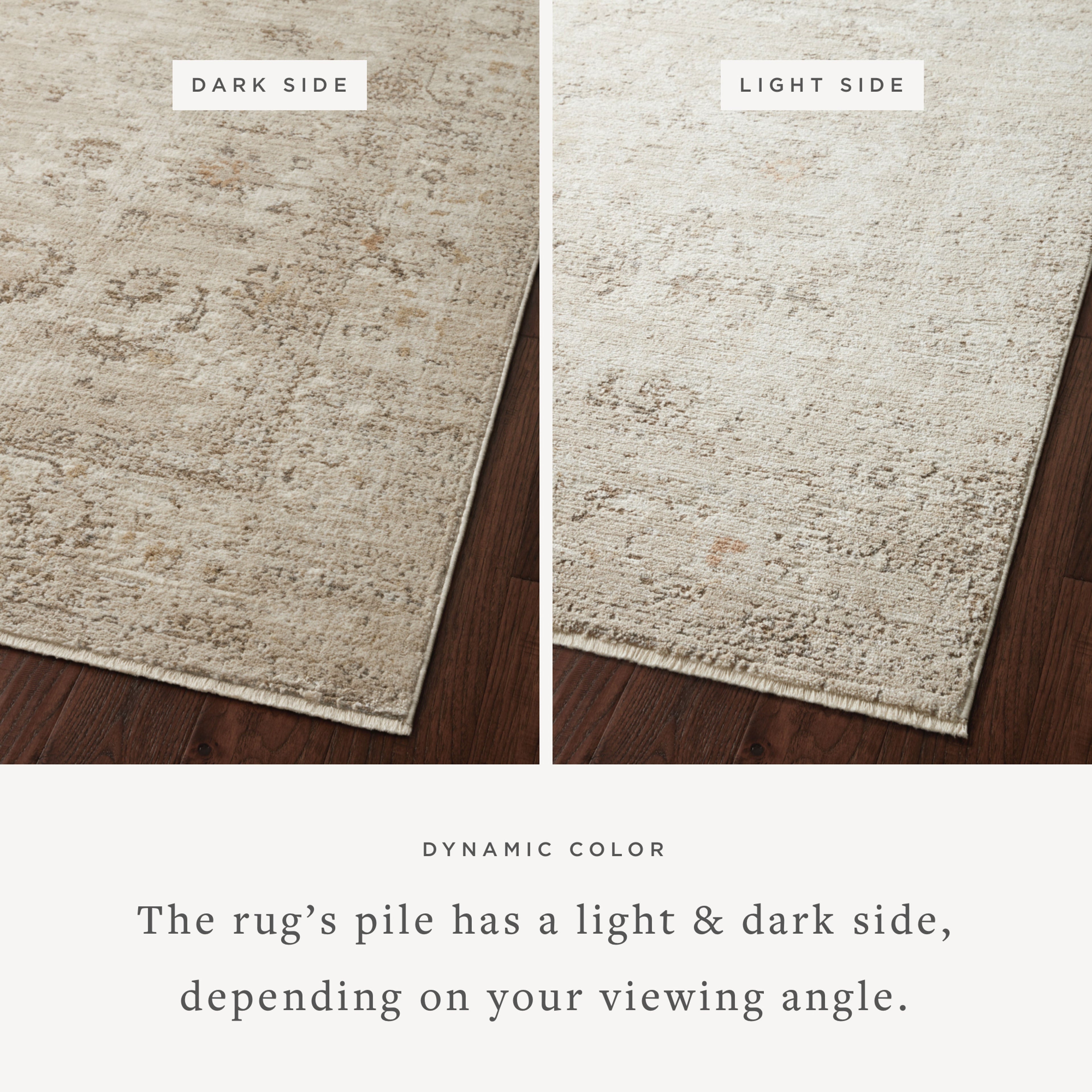 Loloi Sonnet Sample Rug
