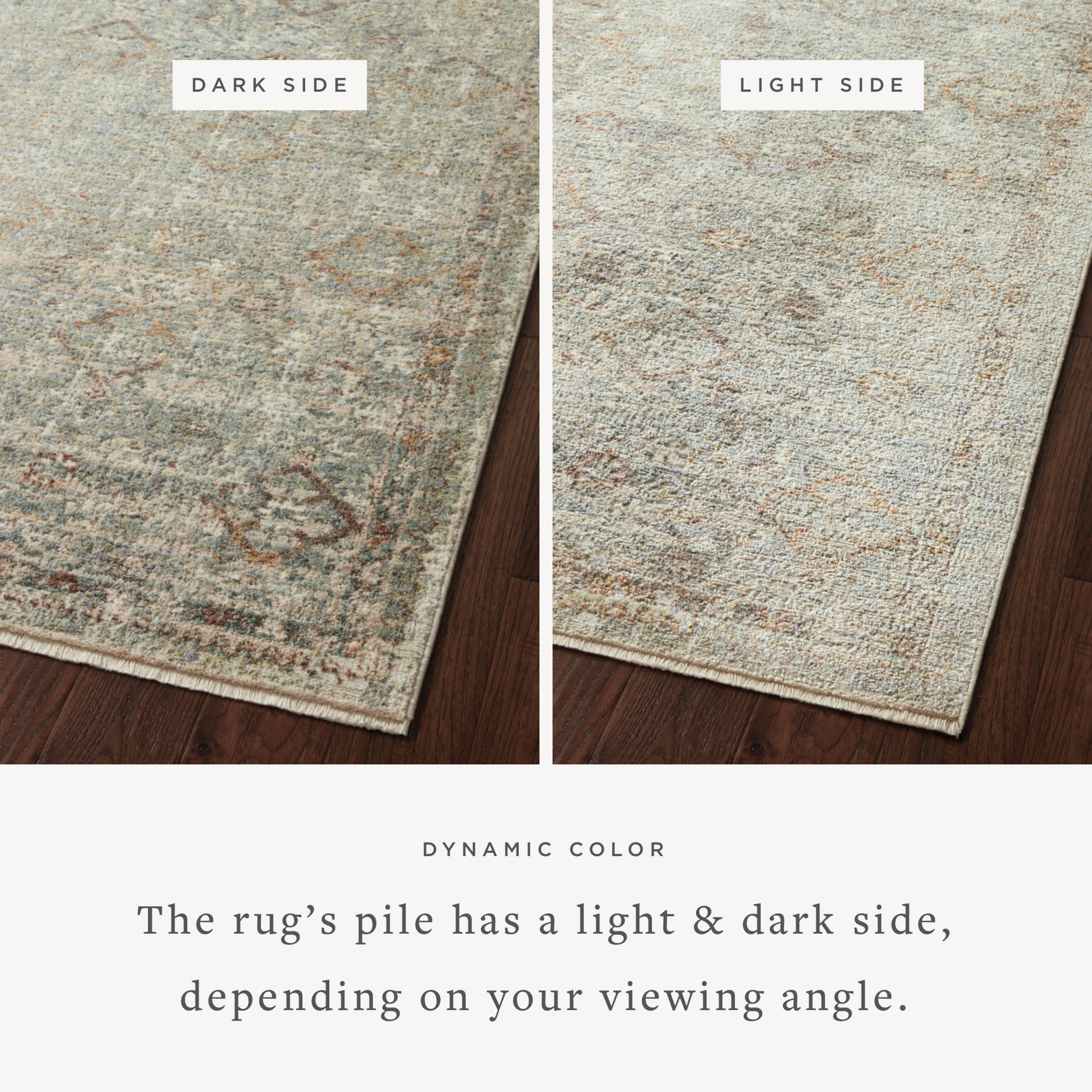 Loloi Sonnet Sample Rug