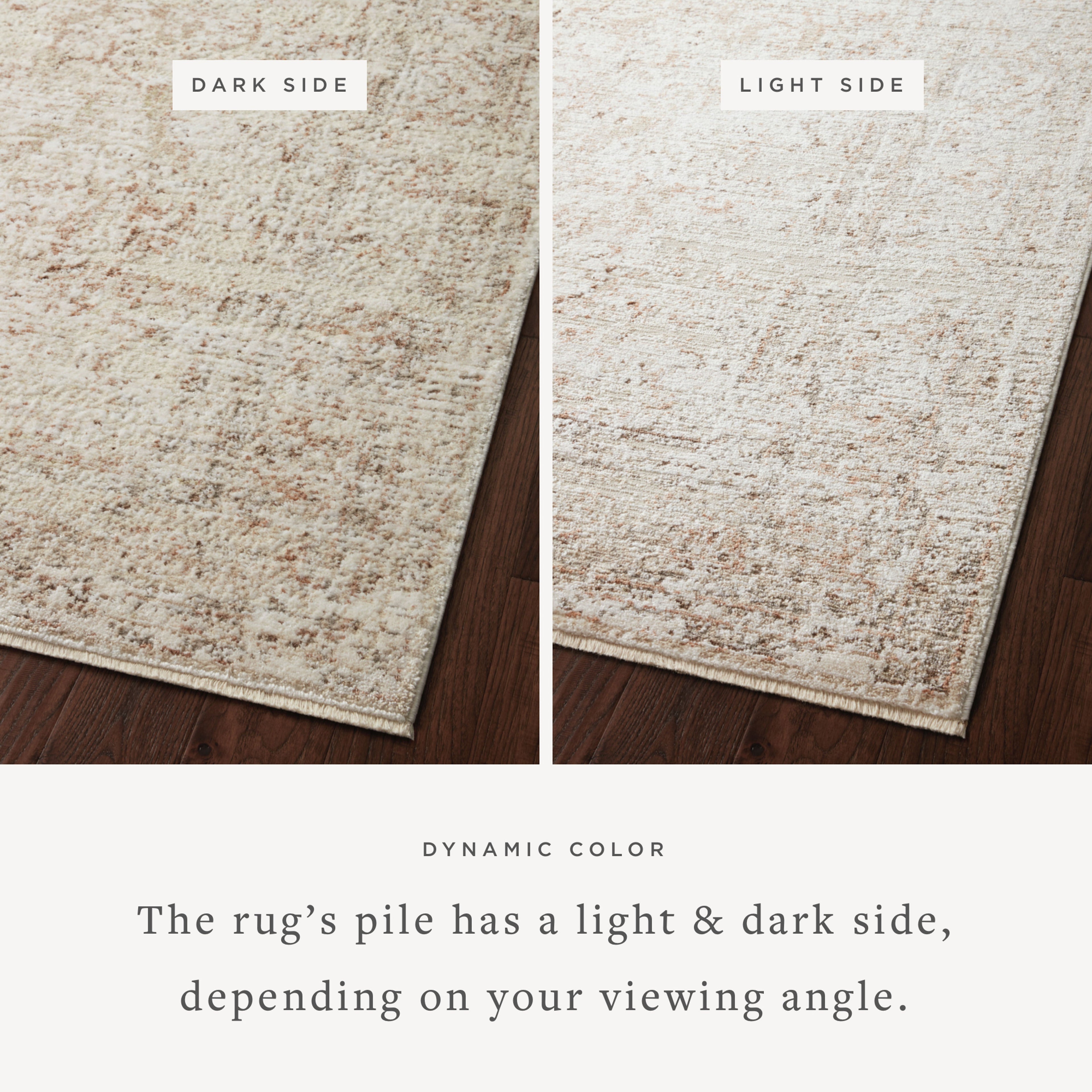 Loloi Sonnet Sample Rug