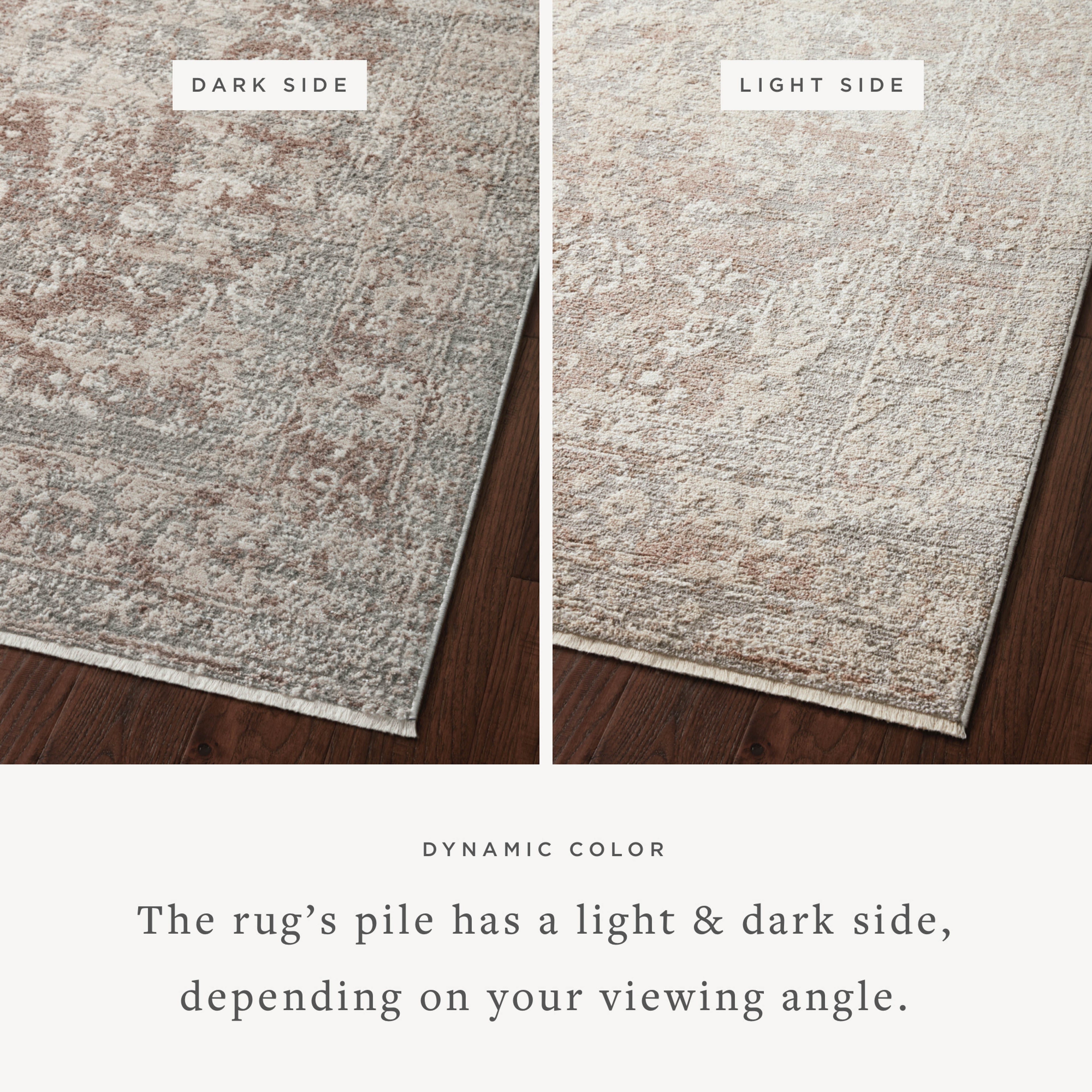 Loloi Sonnet Sample Rug