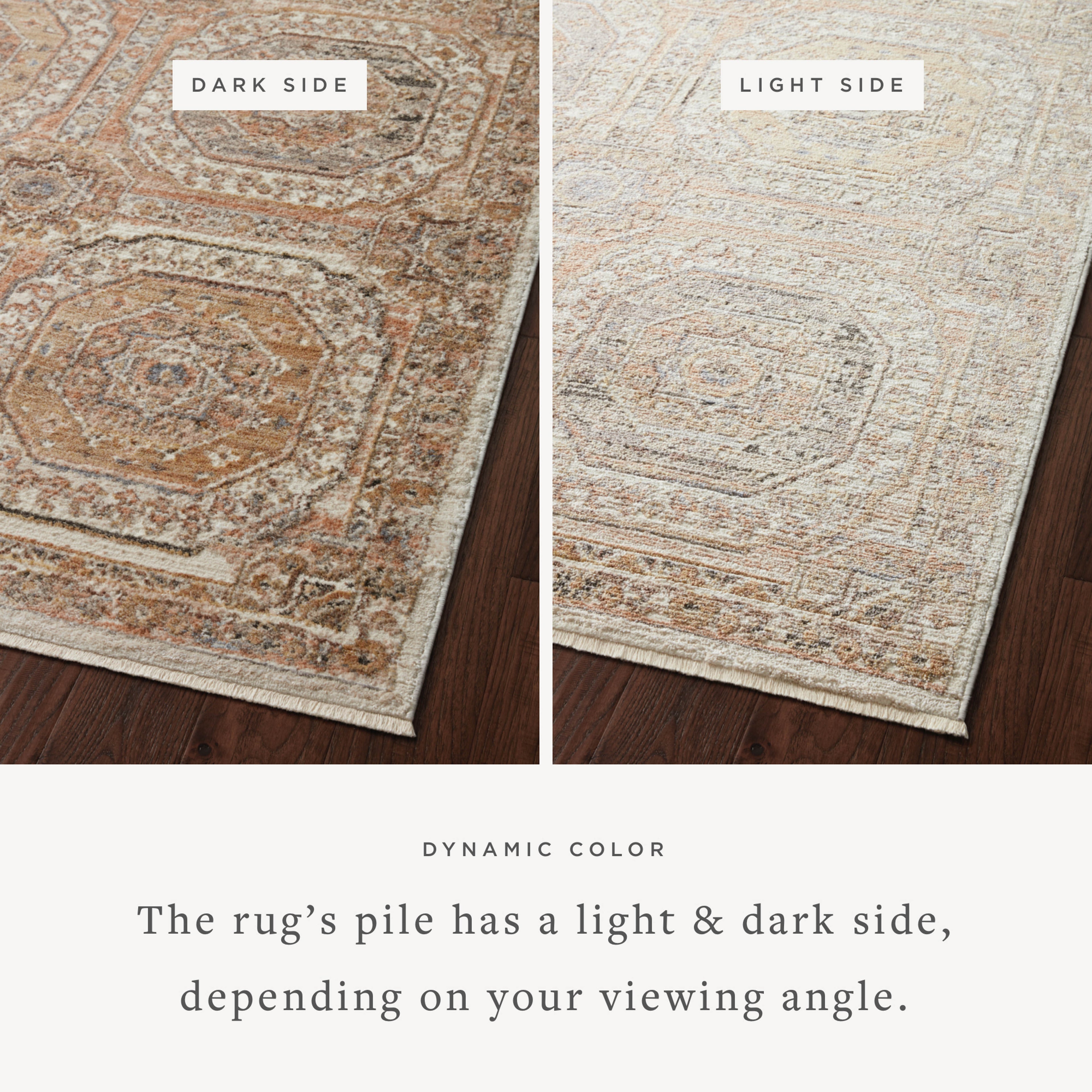 Loloi Sonnet Sample Rug