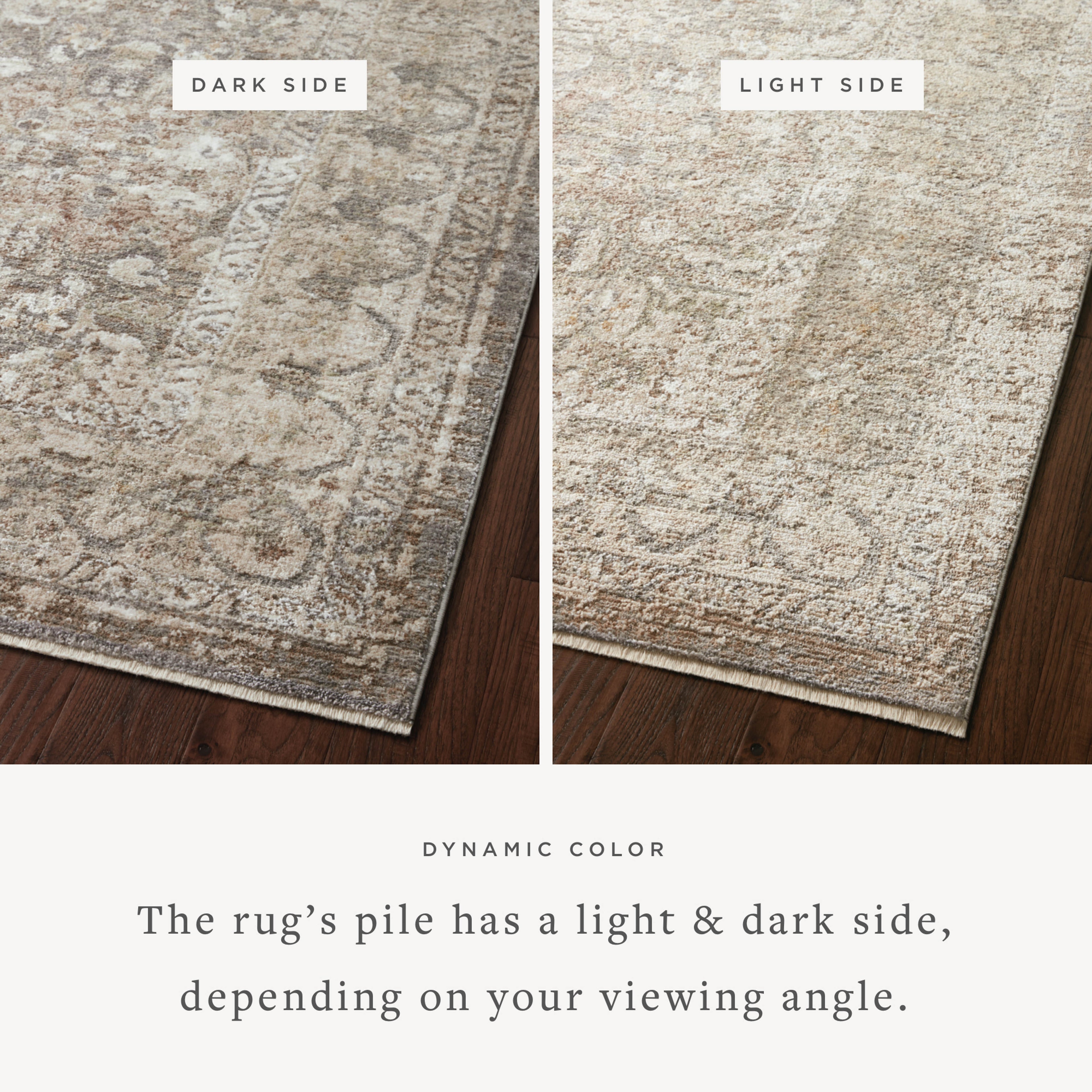 Loloi Sonnet Area Rug