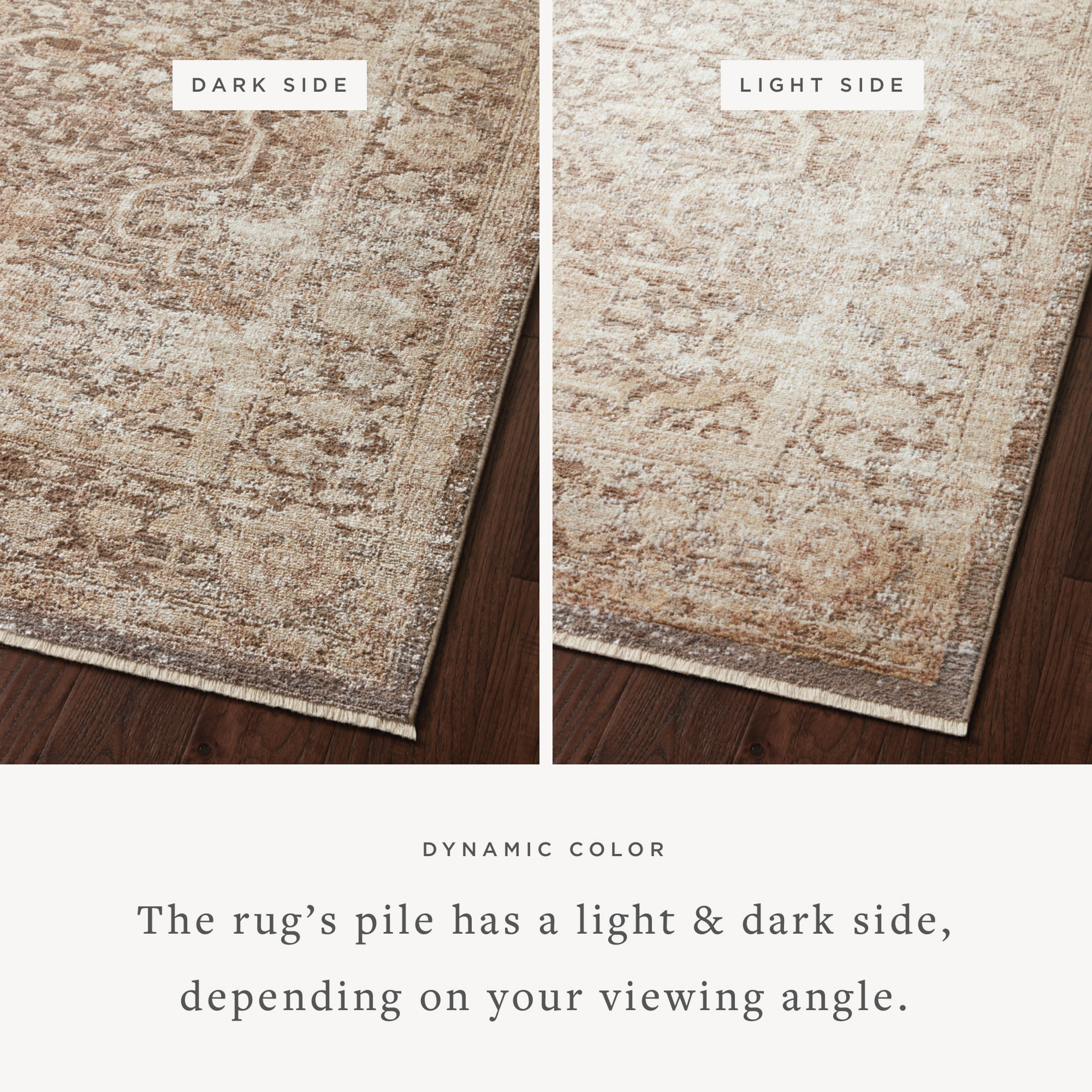 Loloi Sonnet Runner Rug