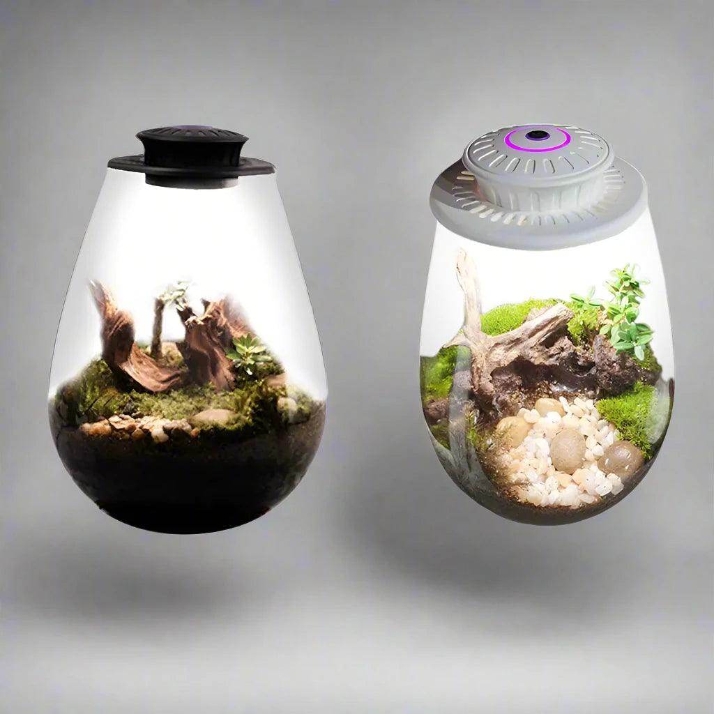 Glass Plant Terrarium with Grow Light
