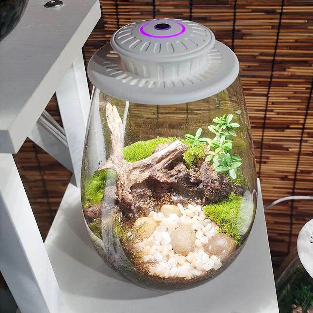 Glass Plant Terrarium with Grow Light