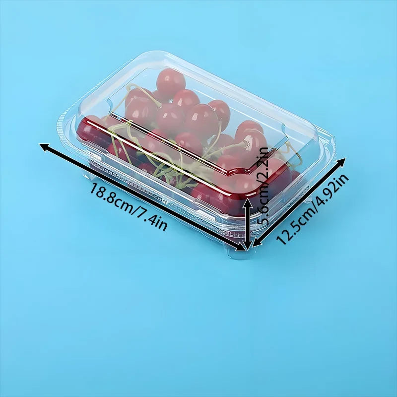 50 & 100 Pack Disposable Pastry Boxes - Super Bowl Dessert Containers for Cupcakes & Cookie Gifting