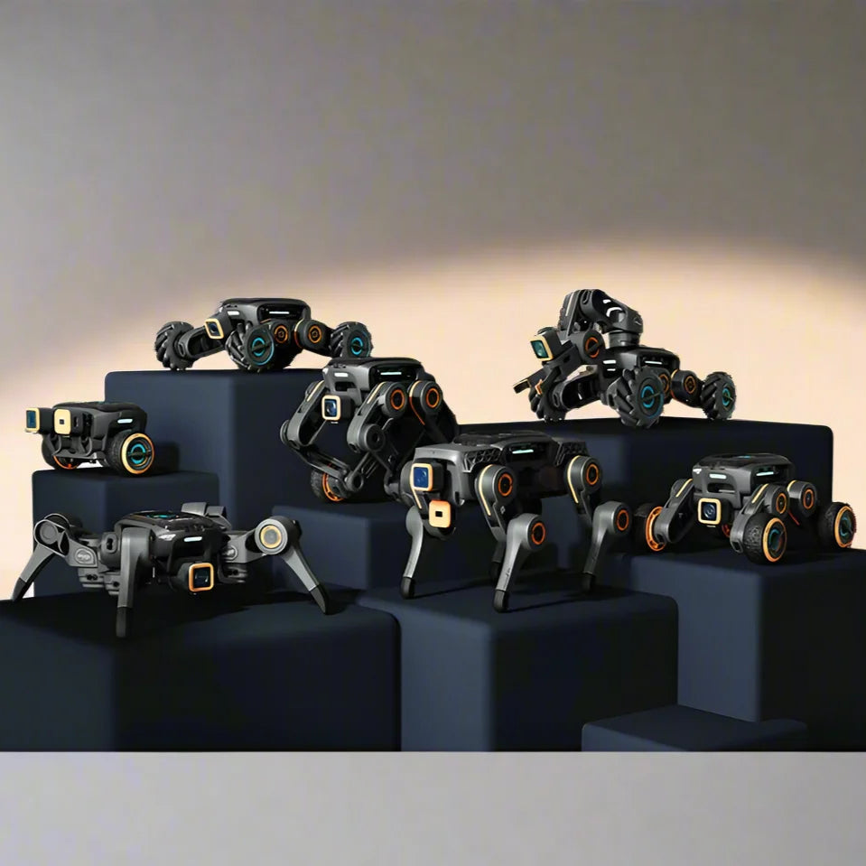 AI Programmable Robot Kit