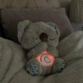 Anxiety Relief sleeping Koala Breathing Plush Toy