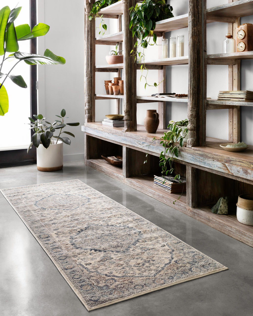 Loloi Teagan Area Rug