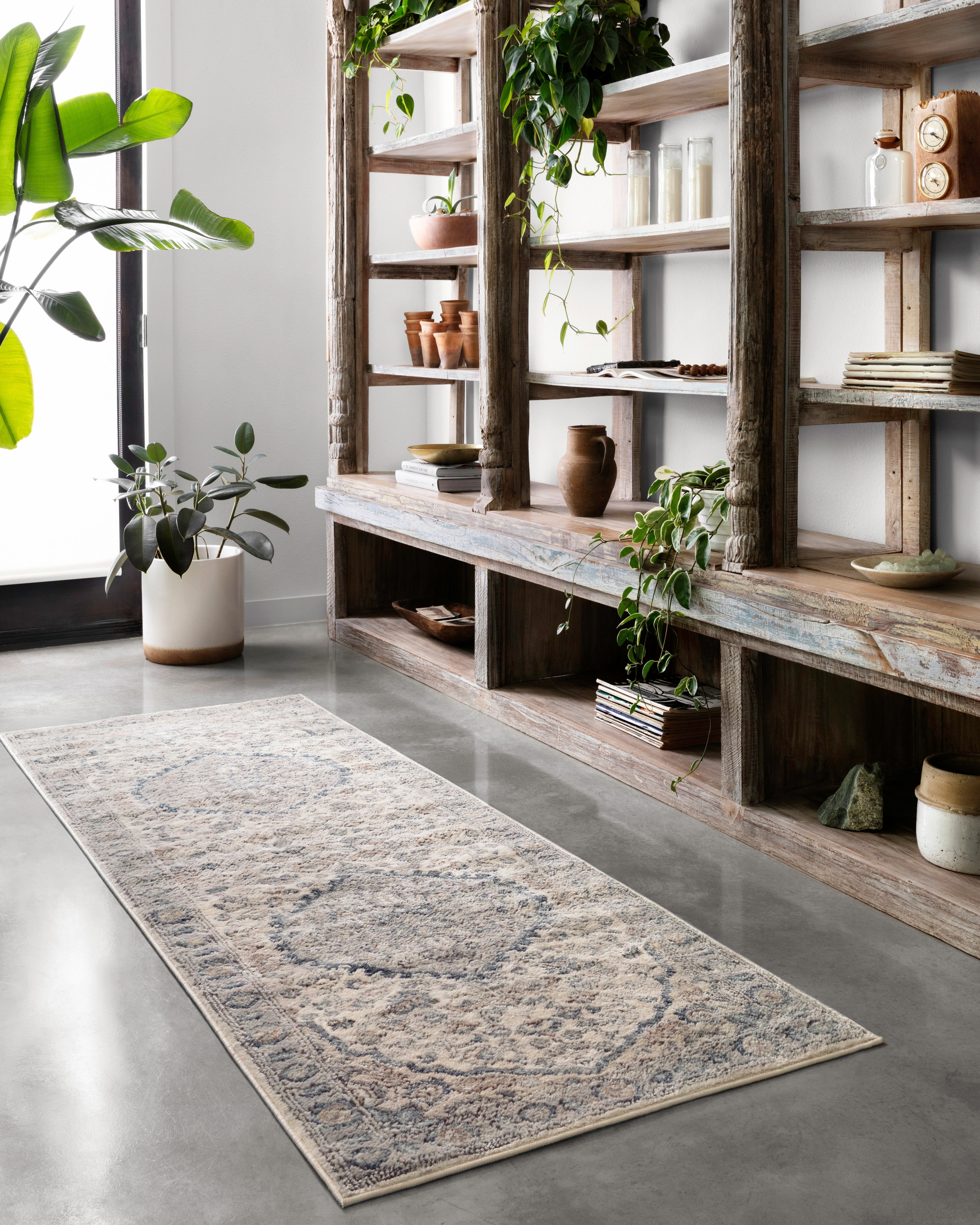 Loloi Teagan Area Rug