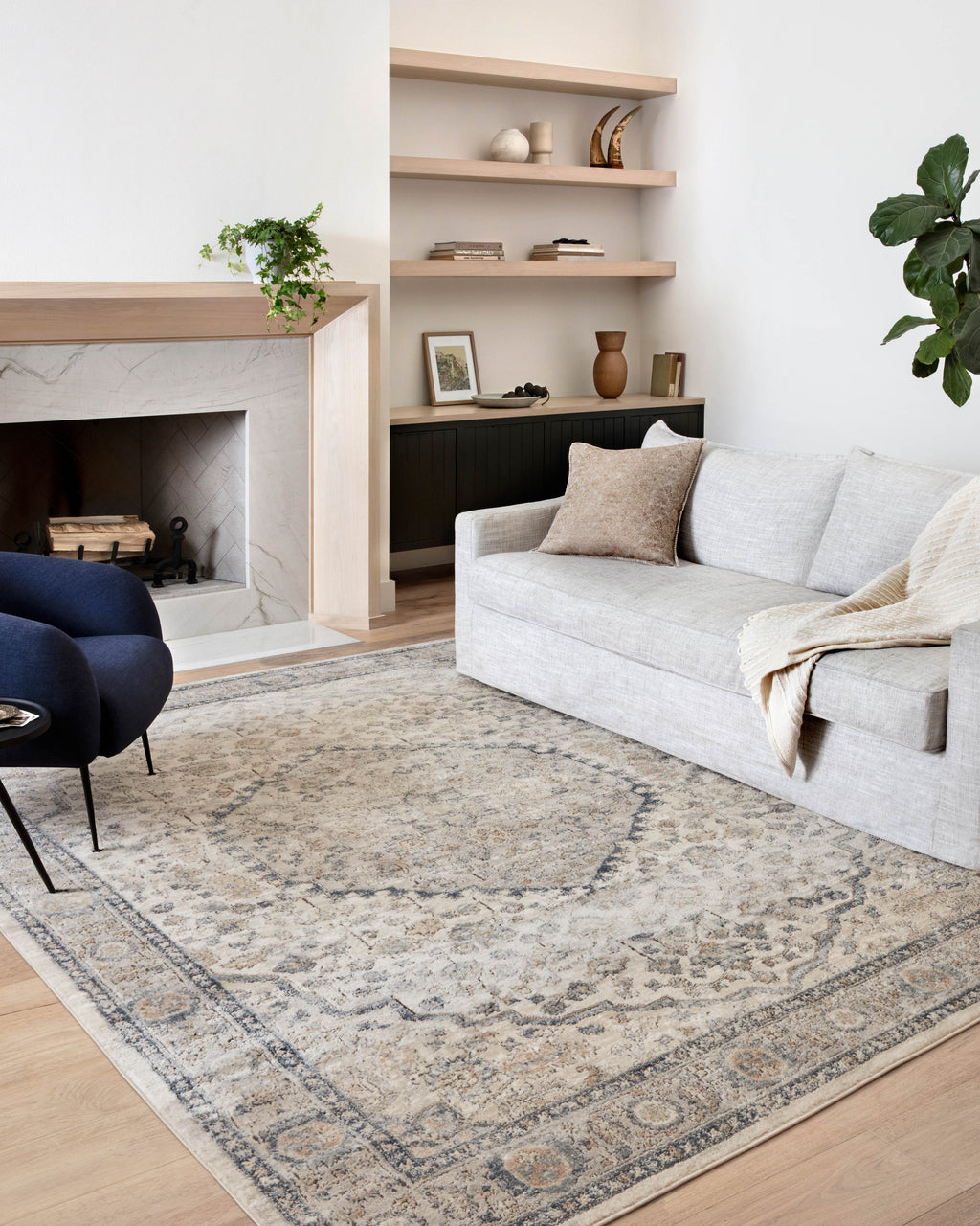 Loloi Teagan Area Rug