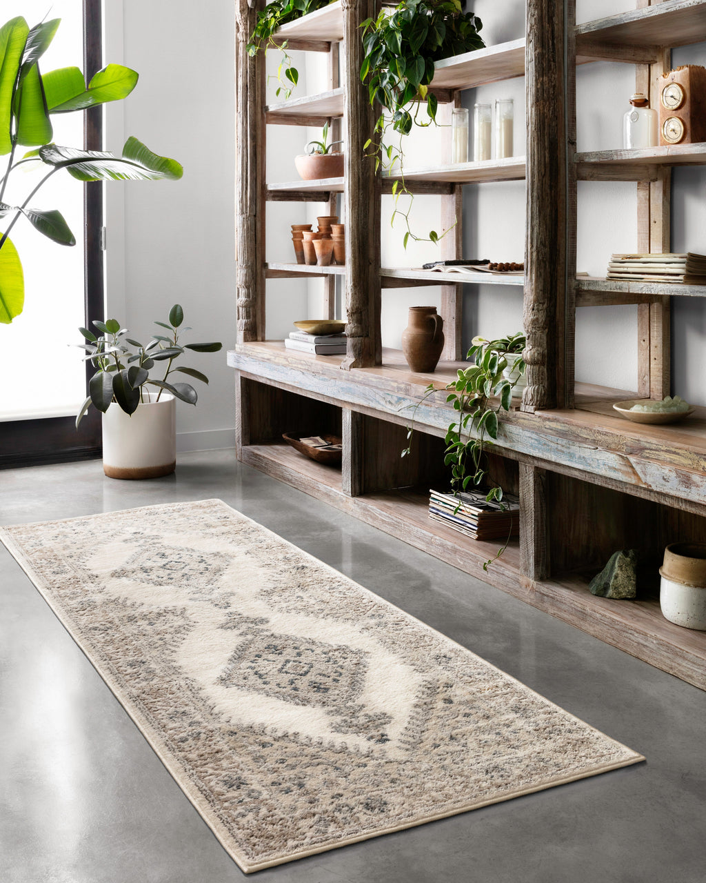 Loloi Teagan Runner Rug