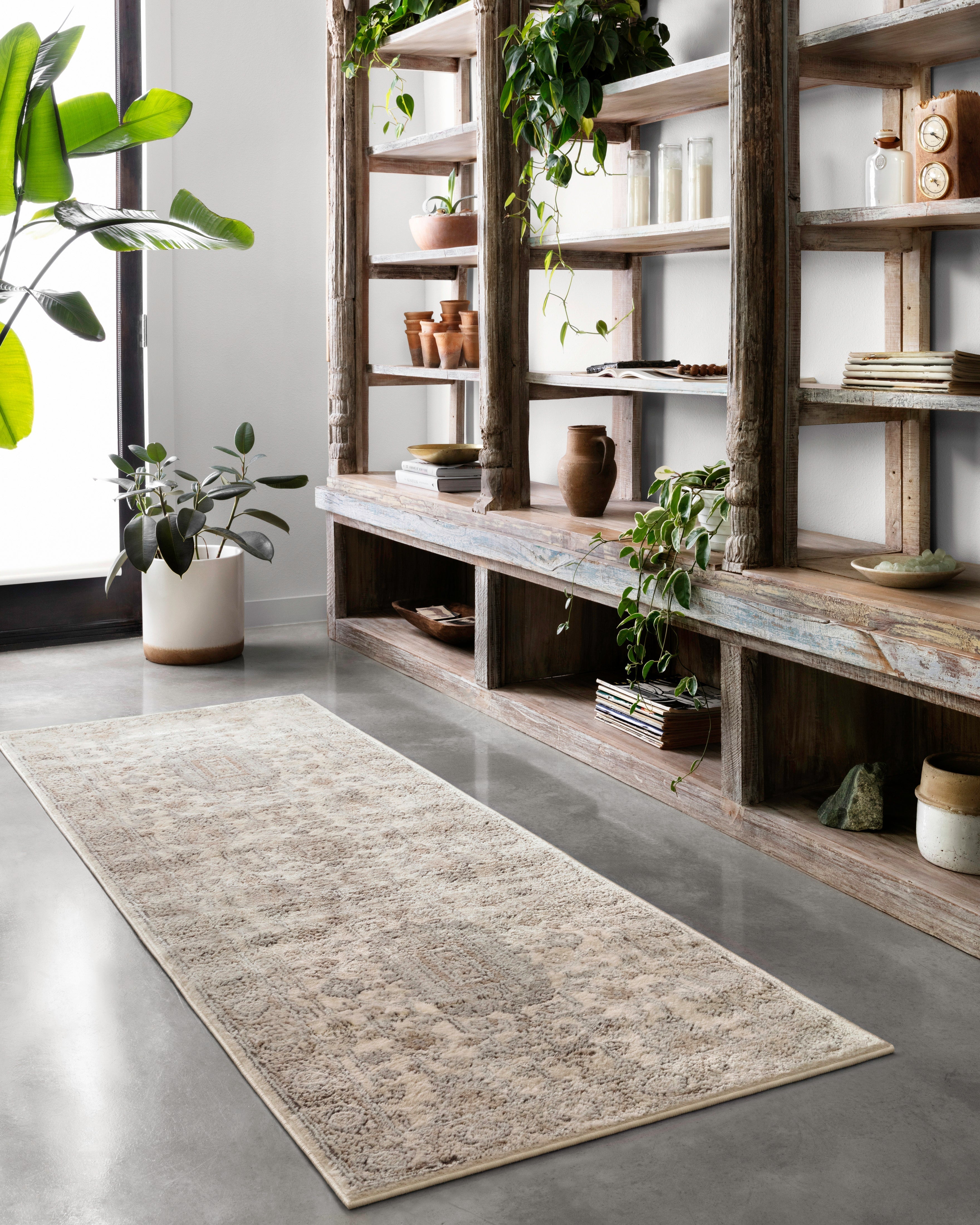 Loloi Teagan Runner Rug