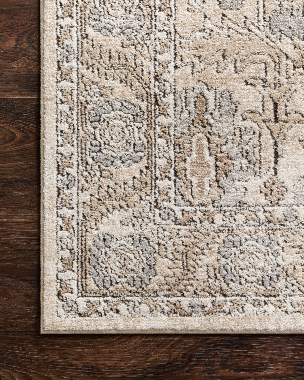 Loloi Teagan Area Rug