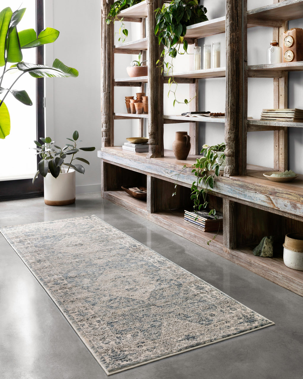 Loloi Teagan Area Rug