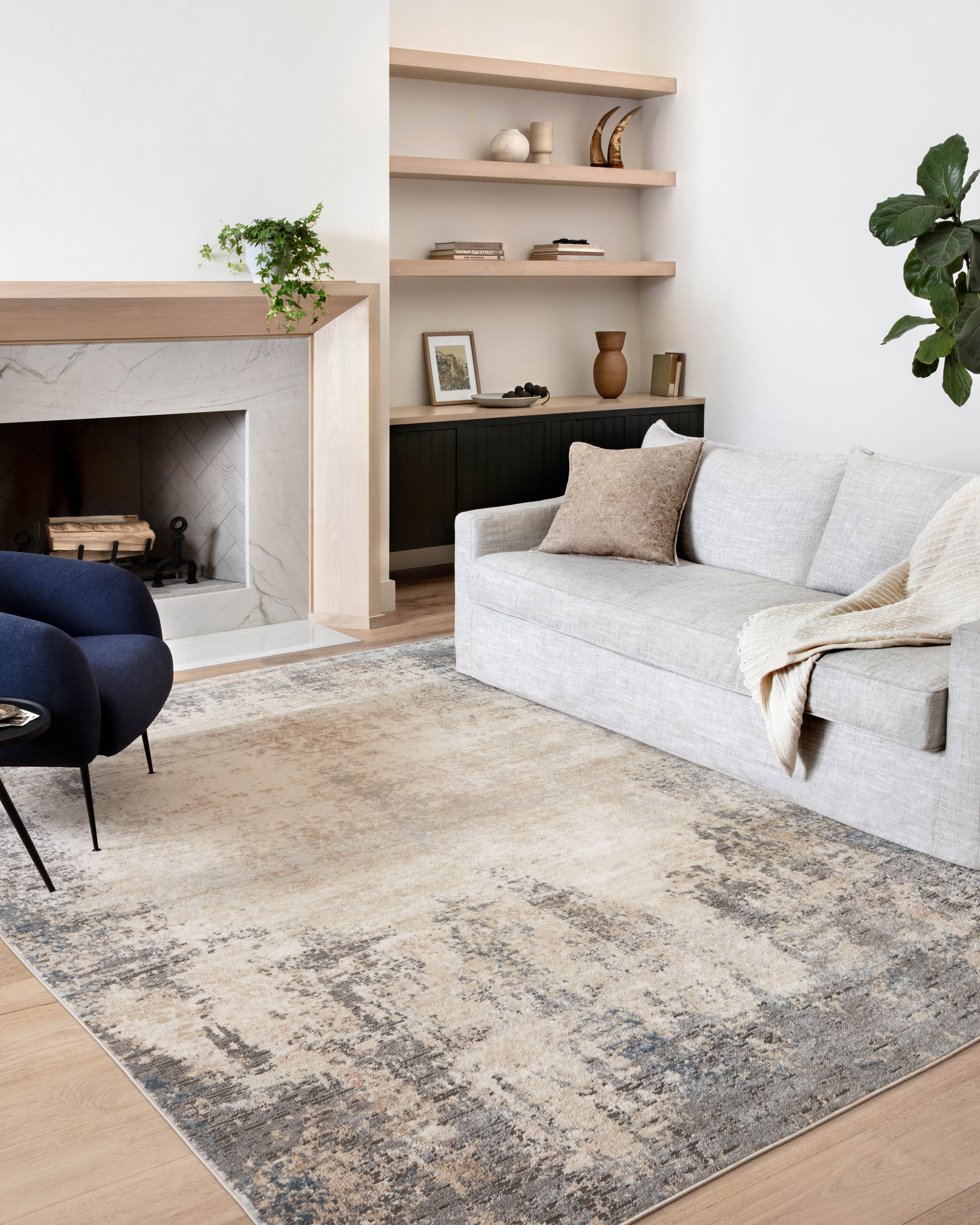 Loloi Teagan Area Rug