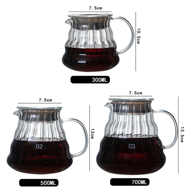 Glass Coffee Pour Over Pot with Filter