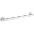 ICO Bath 30" Summit Grab Bar
