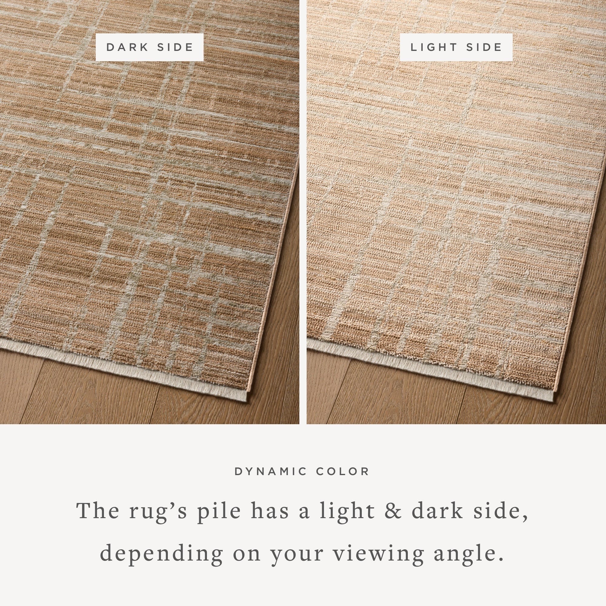 Loloi Wade Sample Rug