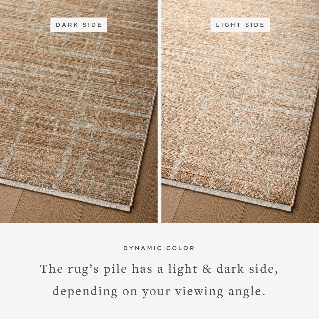 Loloi Wade Area Rug