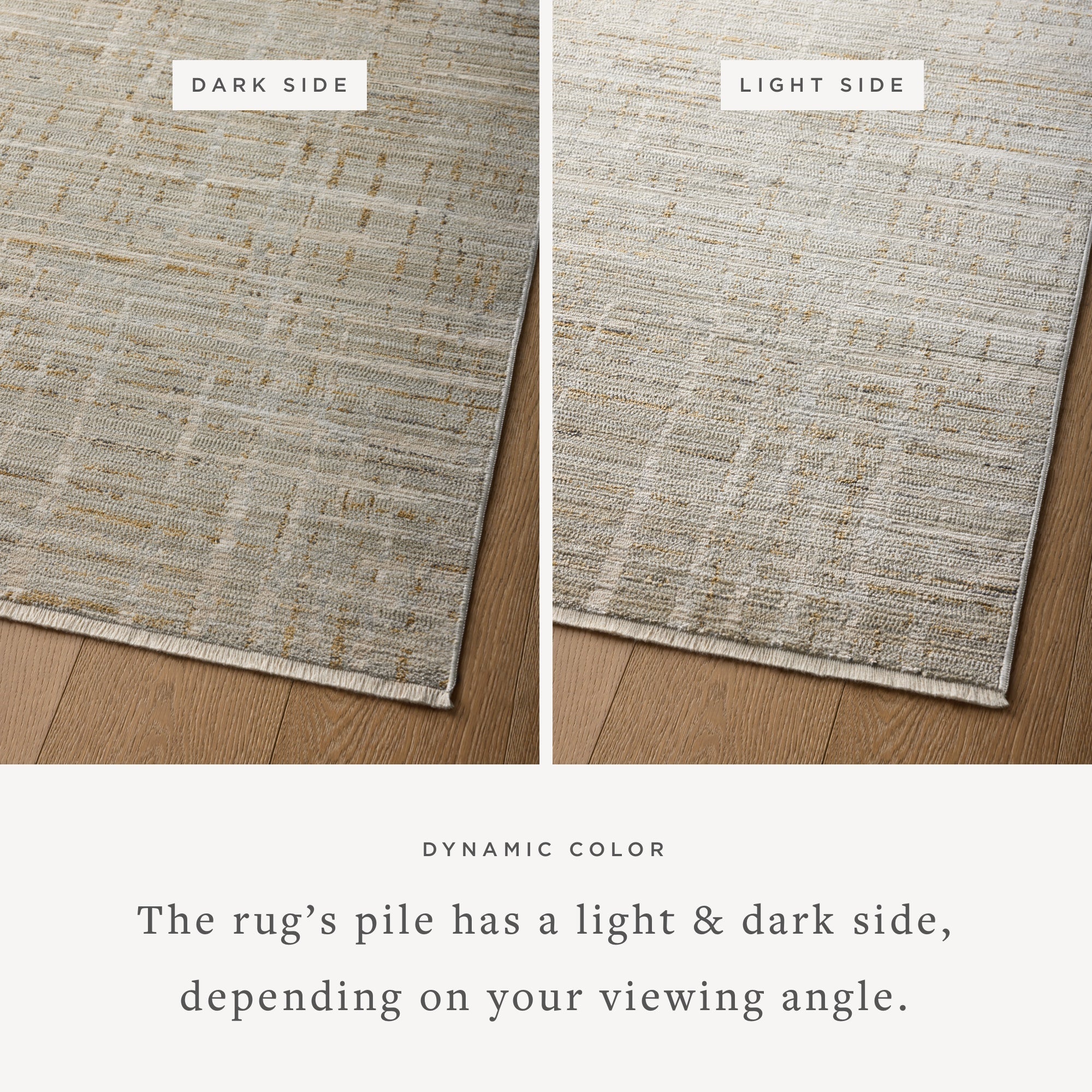 Loloi Wade Area Rug