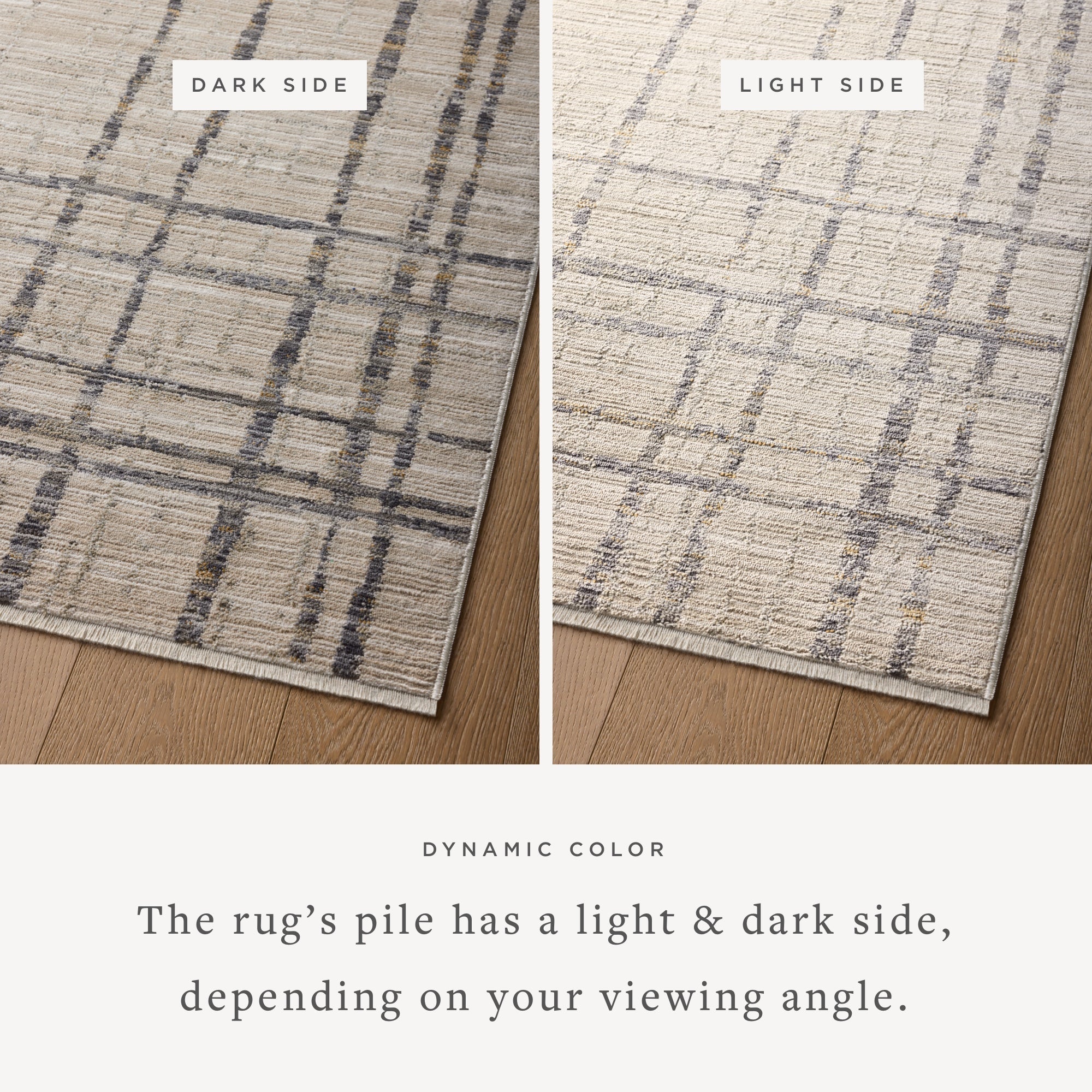 Loloi Wade Area Rug