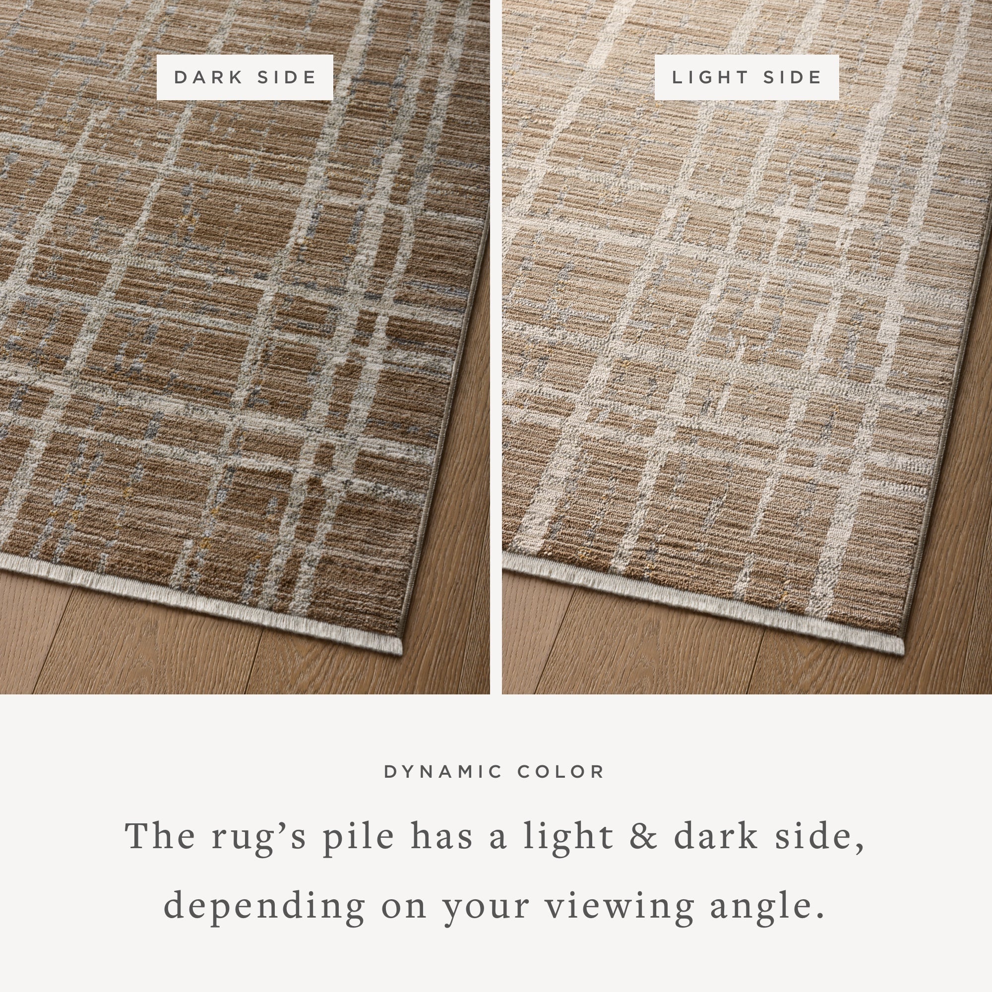 Loloi Wade Runner Rug