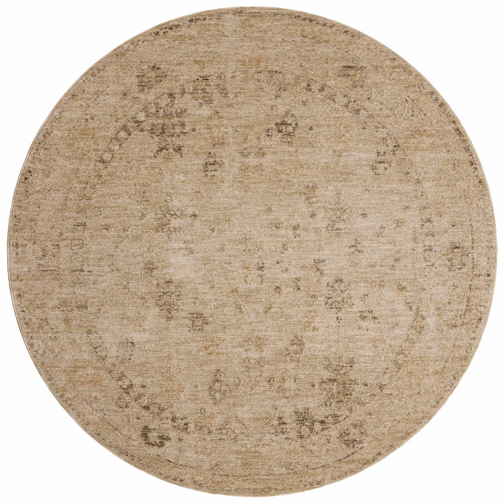 Loloi Willa Area Rug