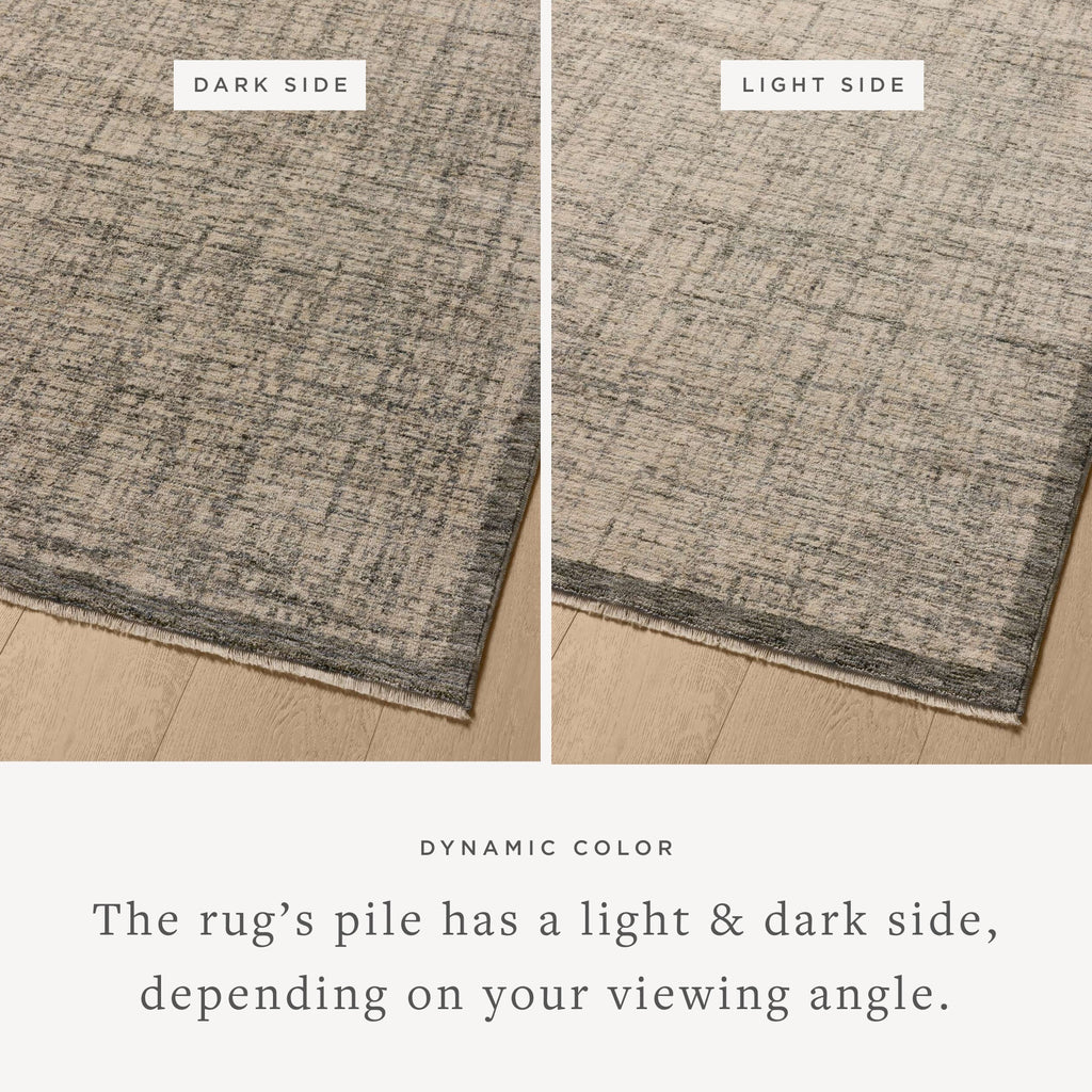 Loloi Winston Area Rug
