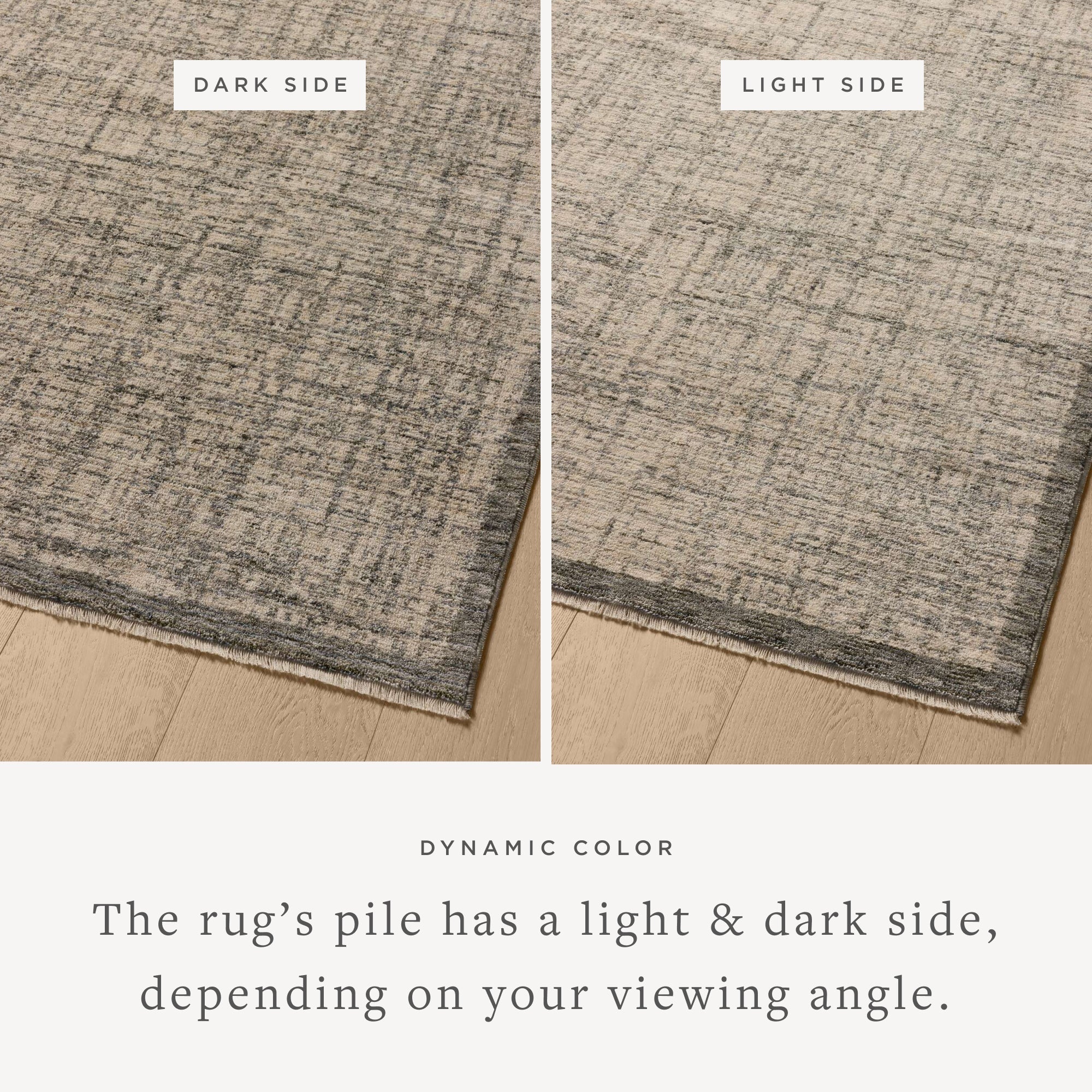 Loloi Winston Area Rug
