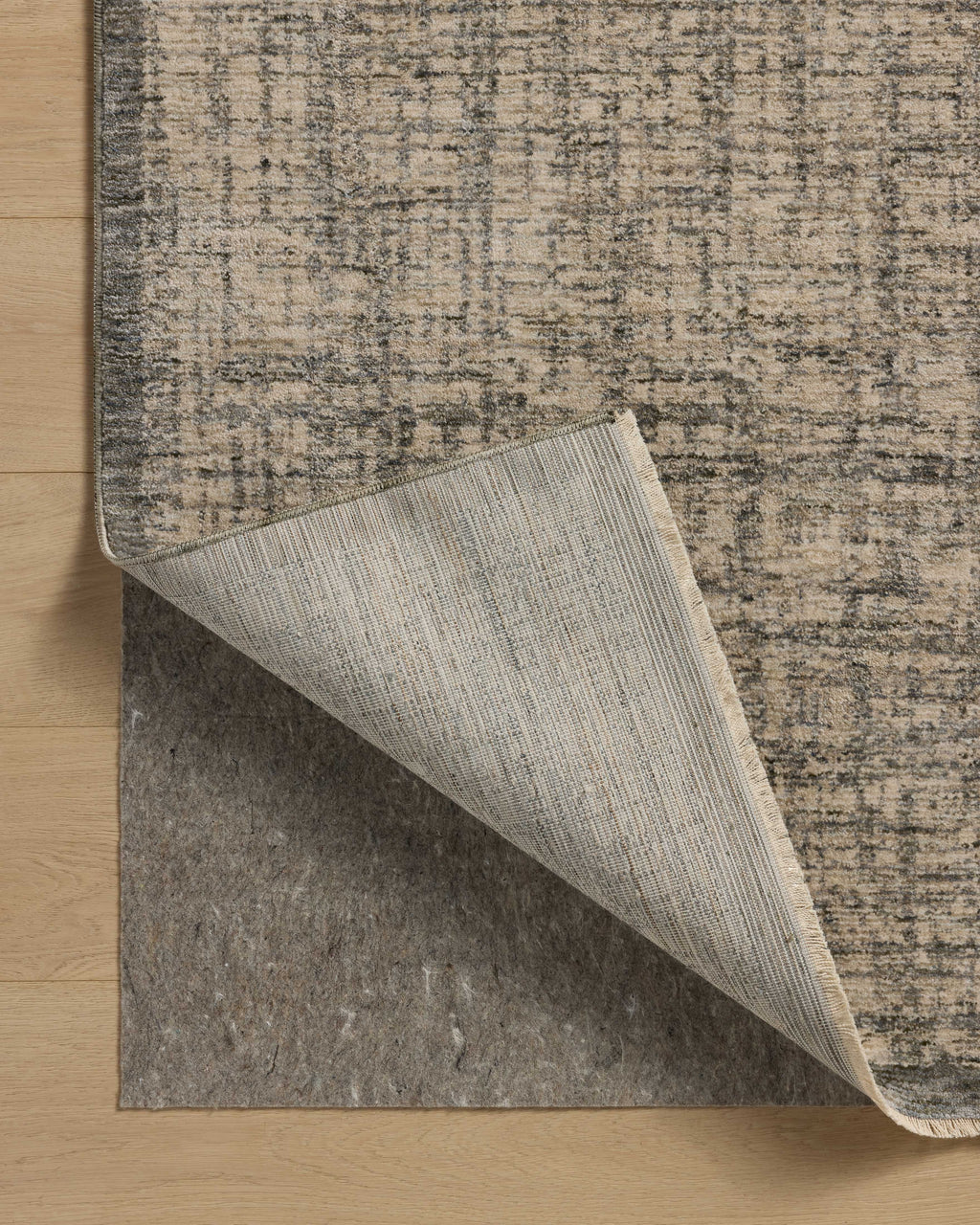 Loloi Winston Area Rug