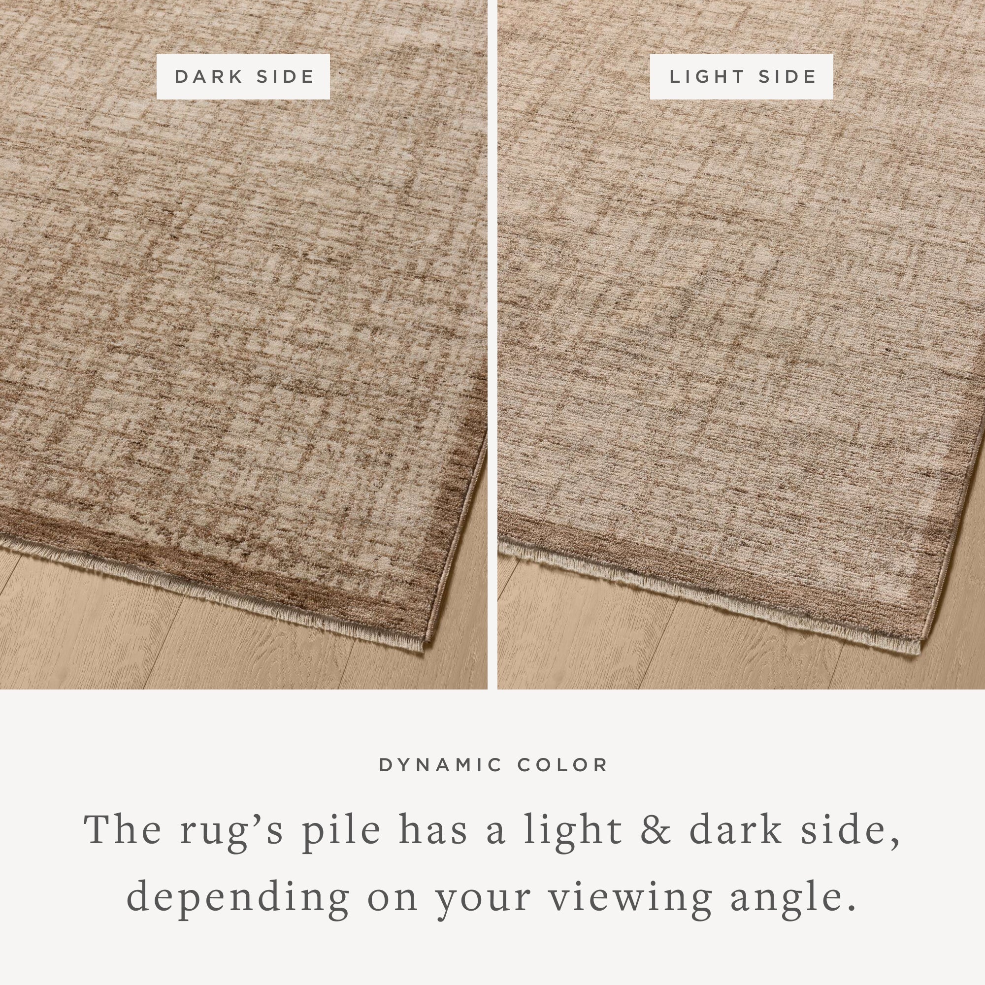 Loloi Winston Area Rug