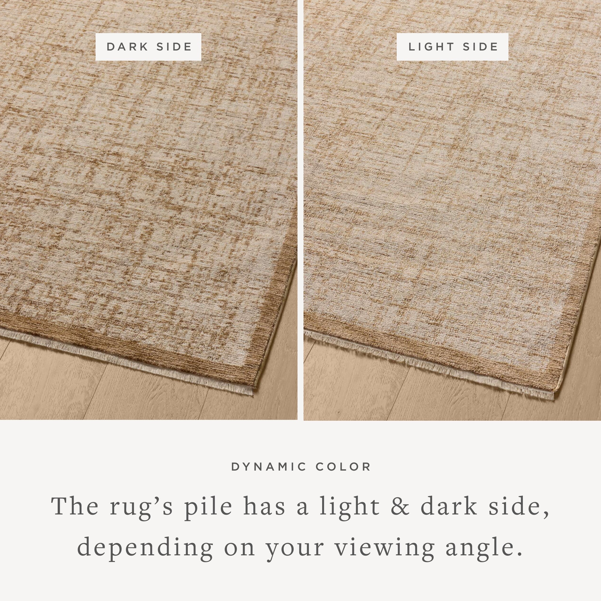 Loloi Winston Sample Rug