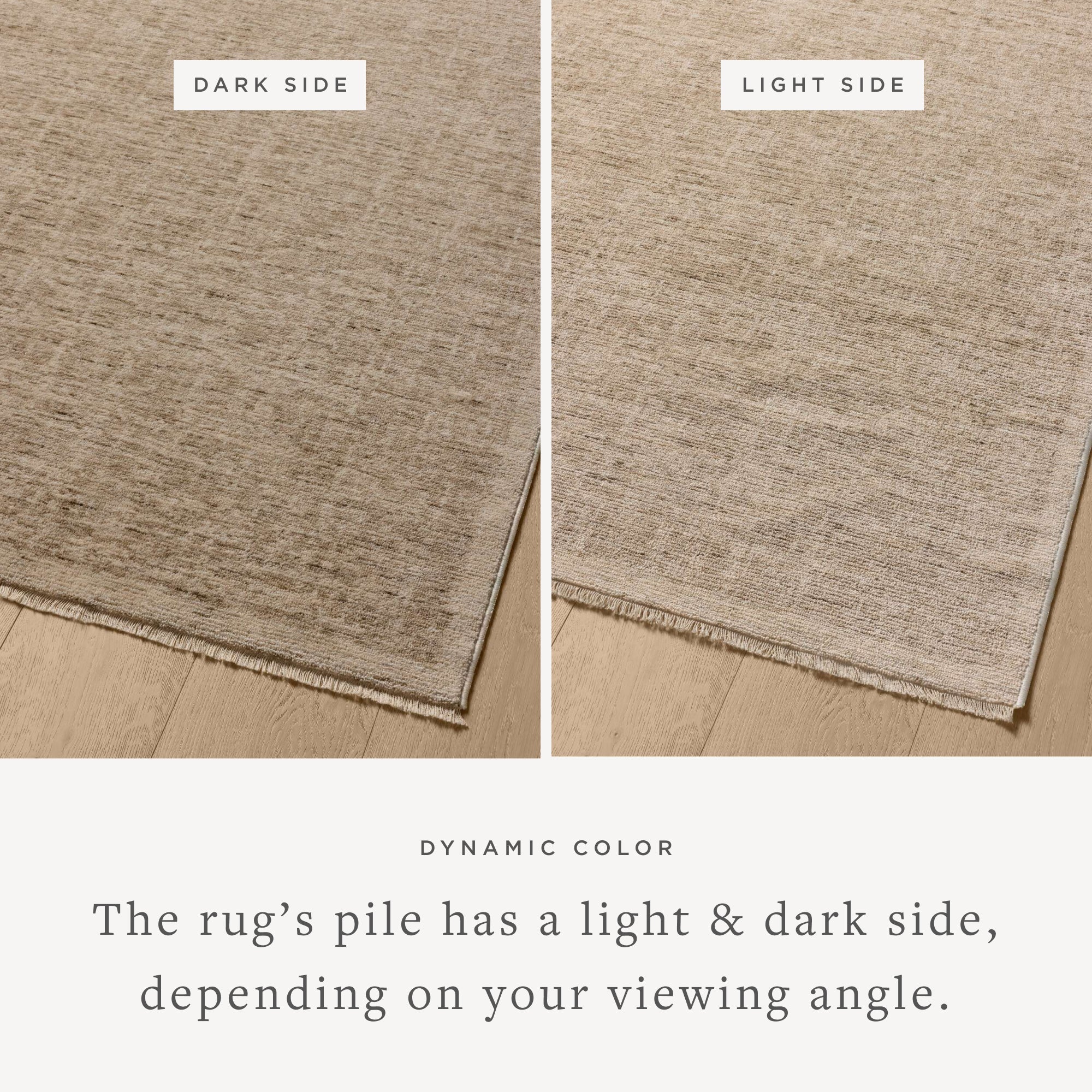 Loloi Winston Area Rug