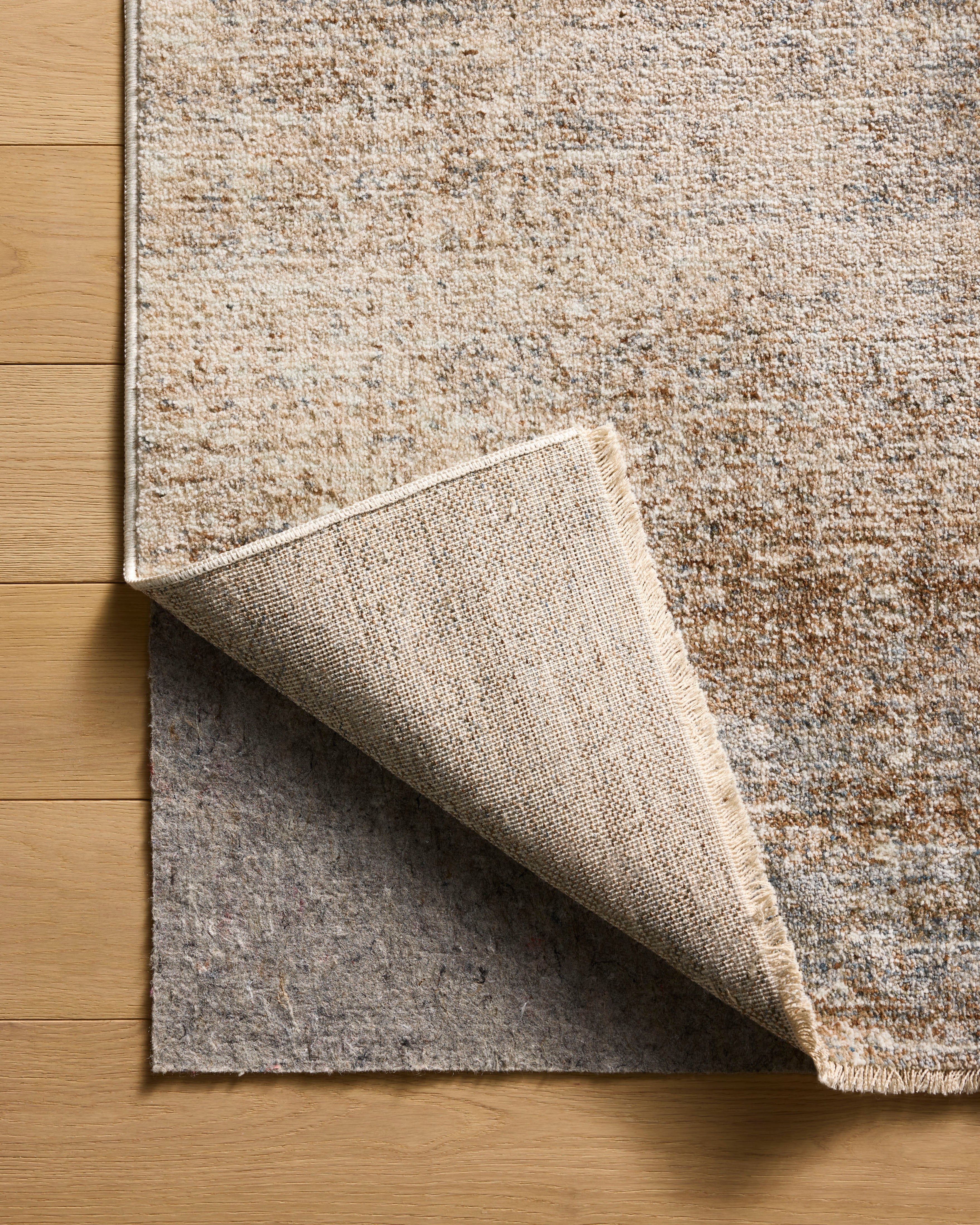 Loloi Winston Area Rug