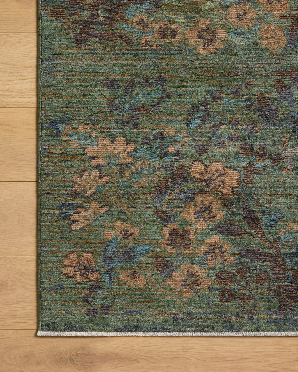 Loloi Winchester Area Rug